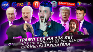 № 400 Трамп сел на 136 лет / От***л пенсионерке за 200 млн / Слоны-разрушители