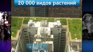 Инфомания. Выпуск 105