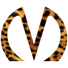 Group Avatar